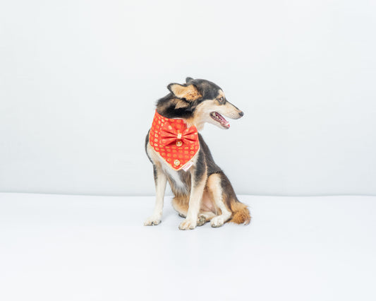 Occasion wear Bow Bandana Red