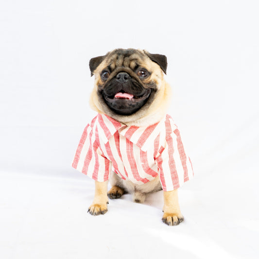 Candy cane stripes Shirt/Sando