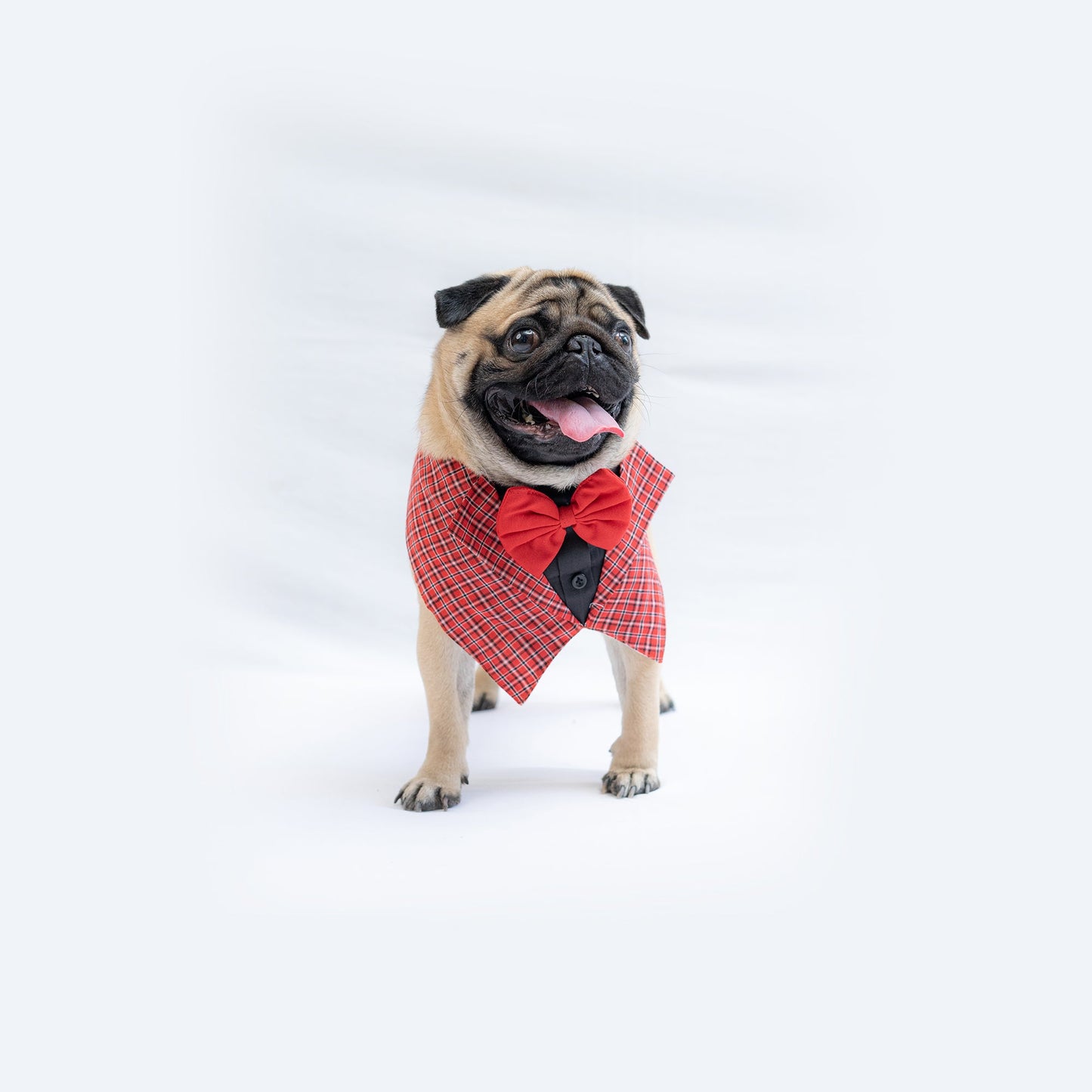 Waistcoat Tuxedo Bandana: Red