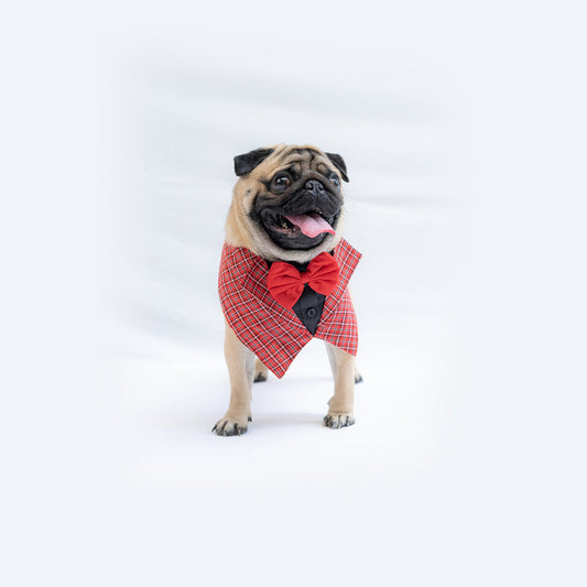 Waistcoat Tuxedo Bandana: Red