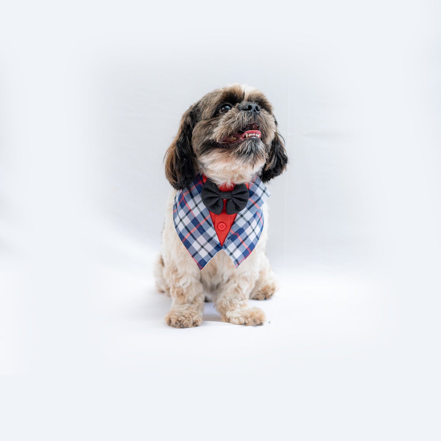 Waistcoat Tuxedo Bandana