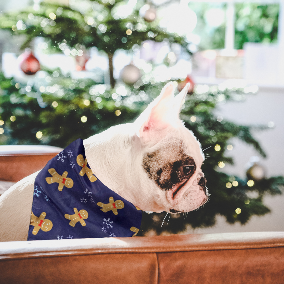 Gingerbread Cookie Bandana