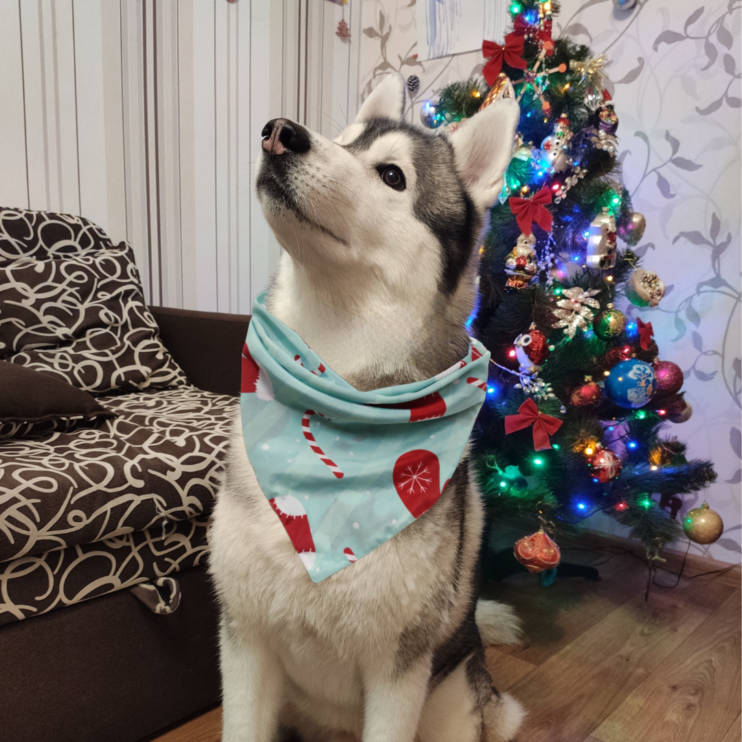 Candy Cane Bandana