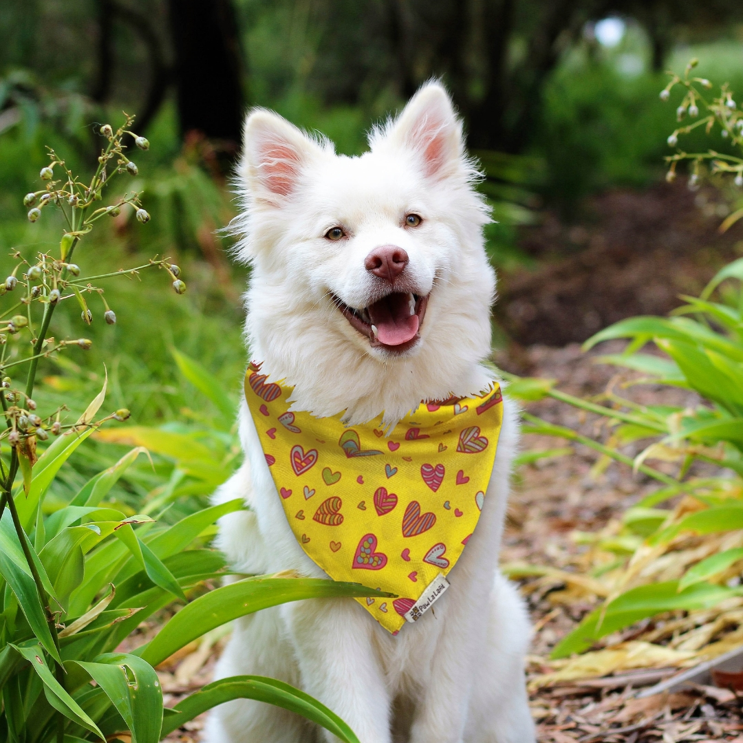 Doodle My Heart Bandana