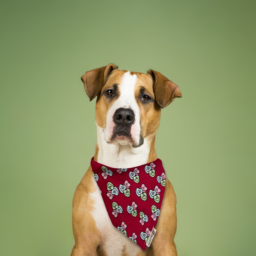 Conversation Heart Bandana