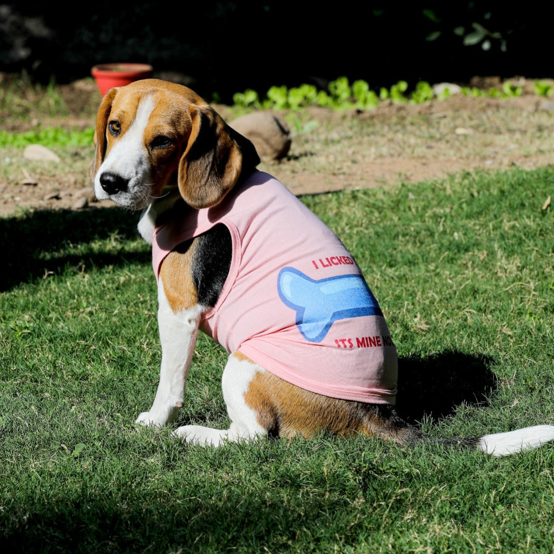 Dog Tshirt (Printed Tanks - I Licked It)