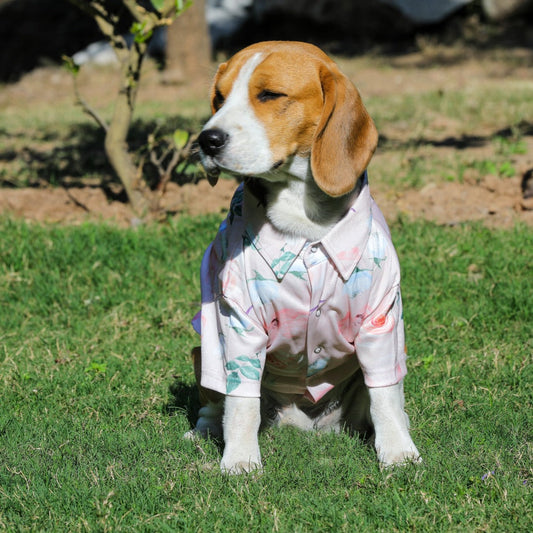 Printed Shirts For Dogs - Baby Pink Floral