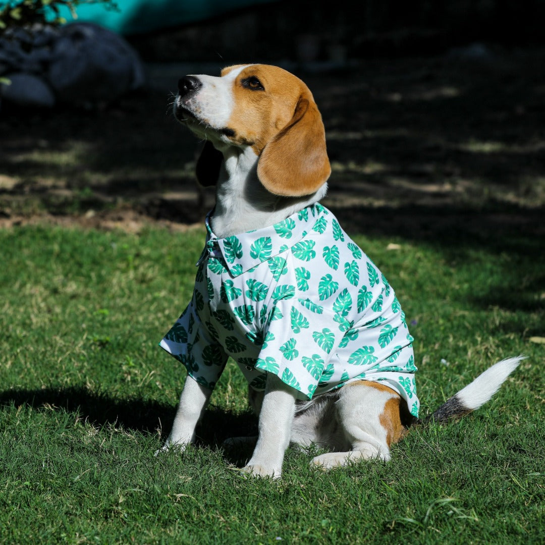 Printed Shirts For Dogs - Havana Palms BBQ