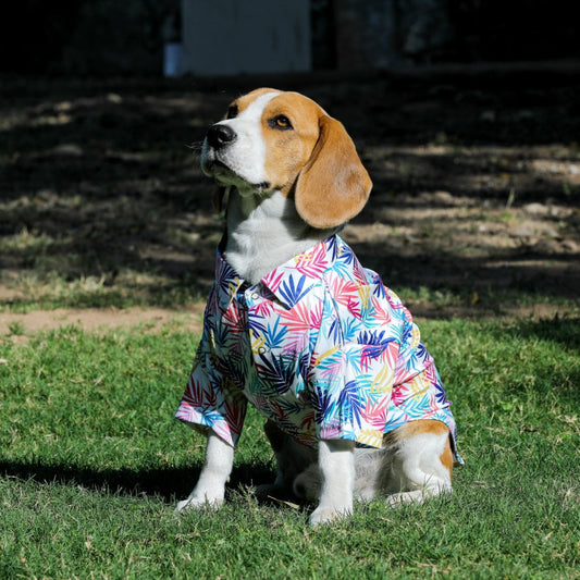 Printed Shirts For Dogs - Hawaiian Colourful