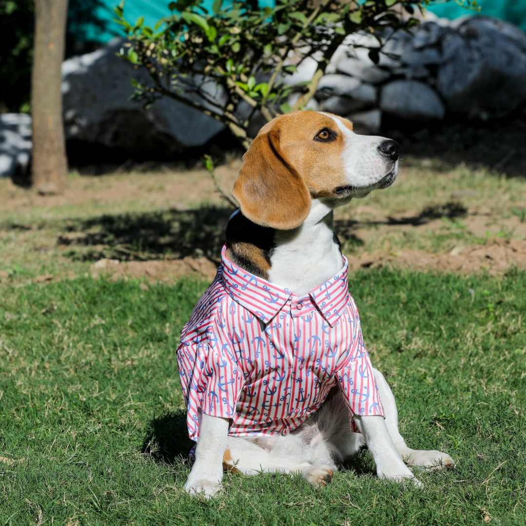 Printed Shirts For Dogs - Maritime Nautical