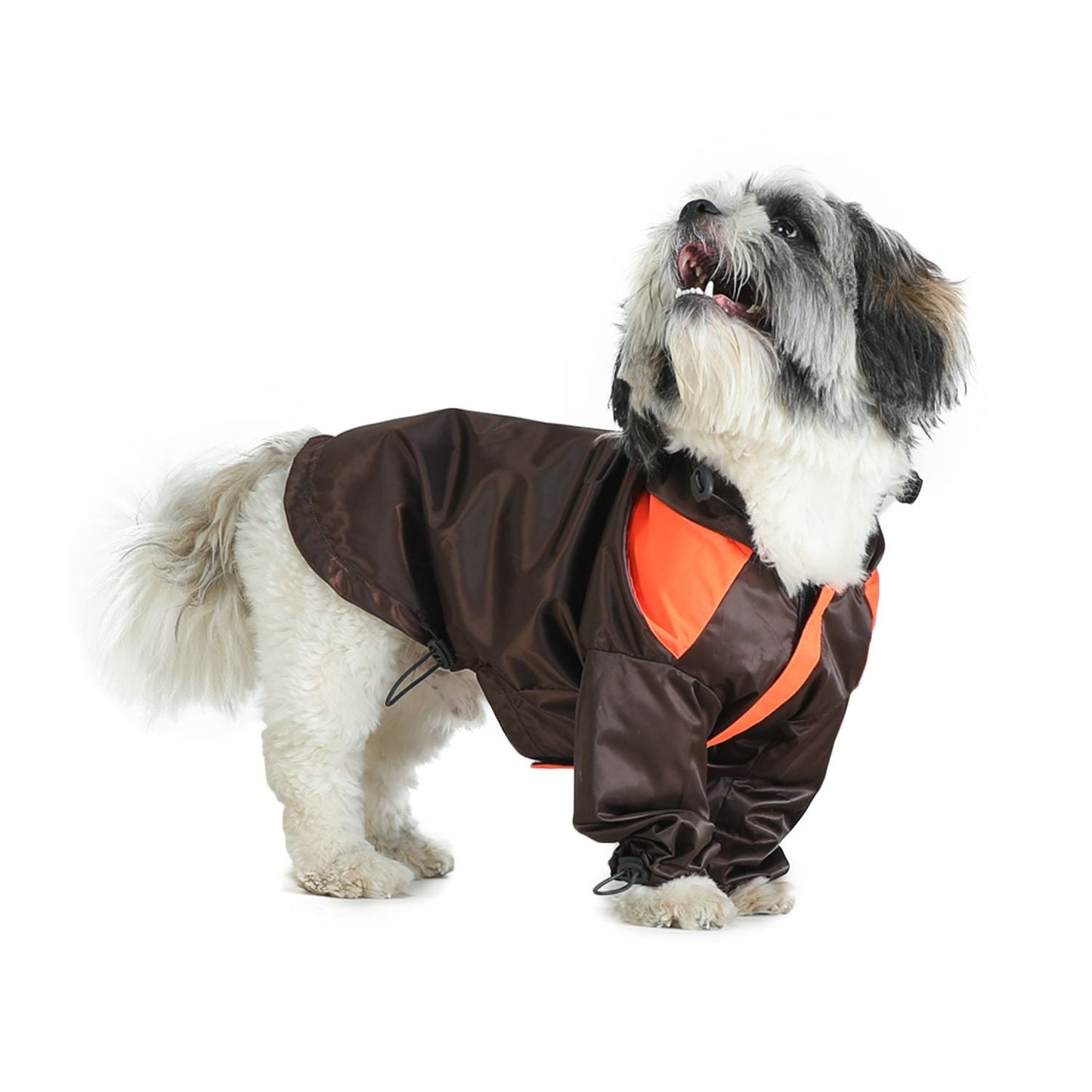 Raincoats For Dogs