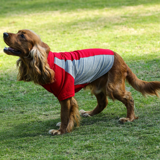 Polo Dog Tshirt (Red & Grey)