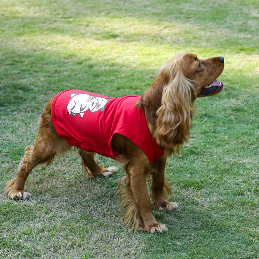 Dog Tshirt (Gib Me A Tummy Rub, Hooman!)