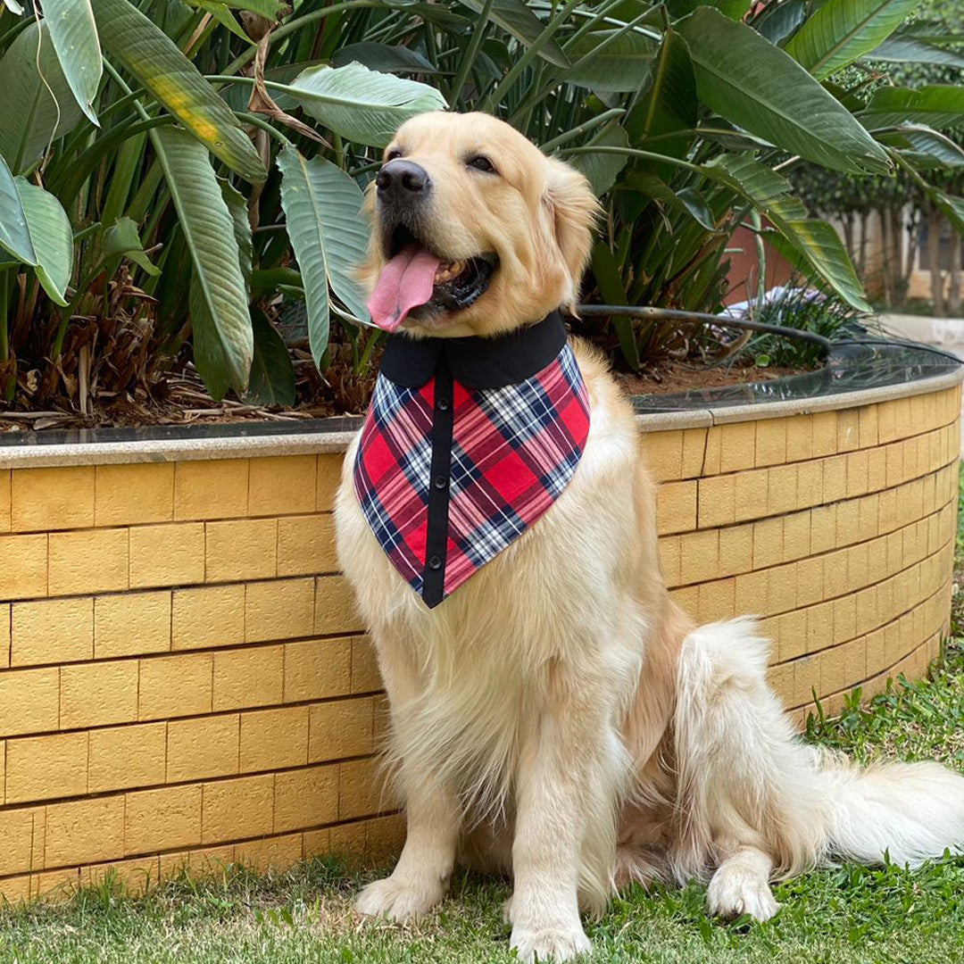 Red Check Peterpan Bandana