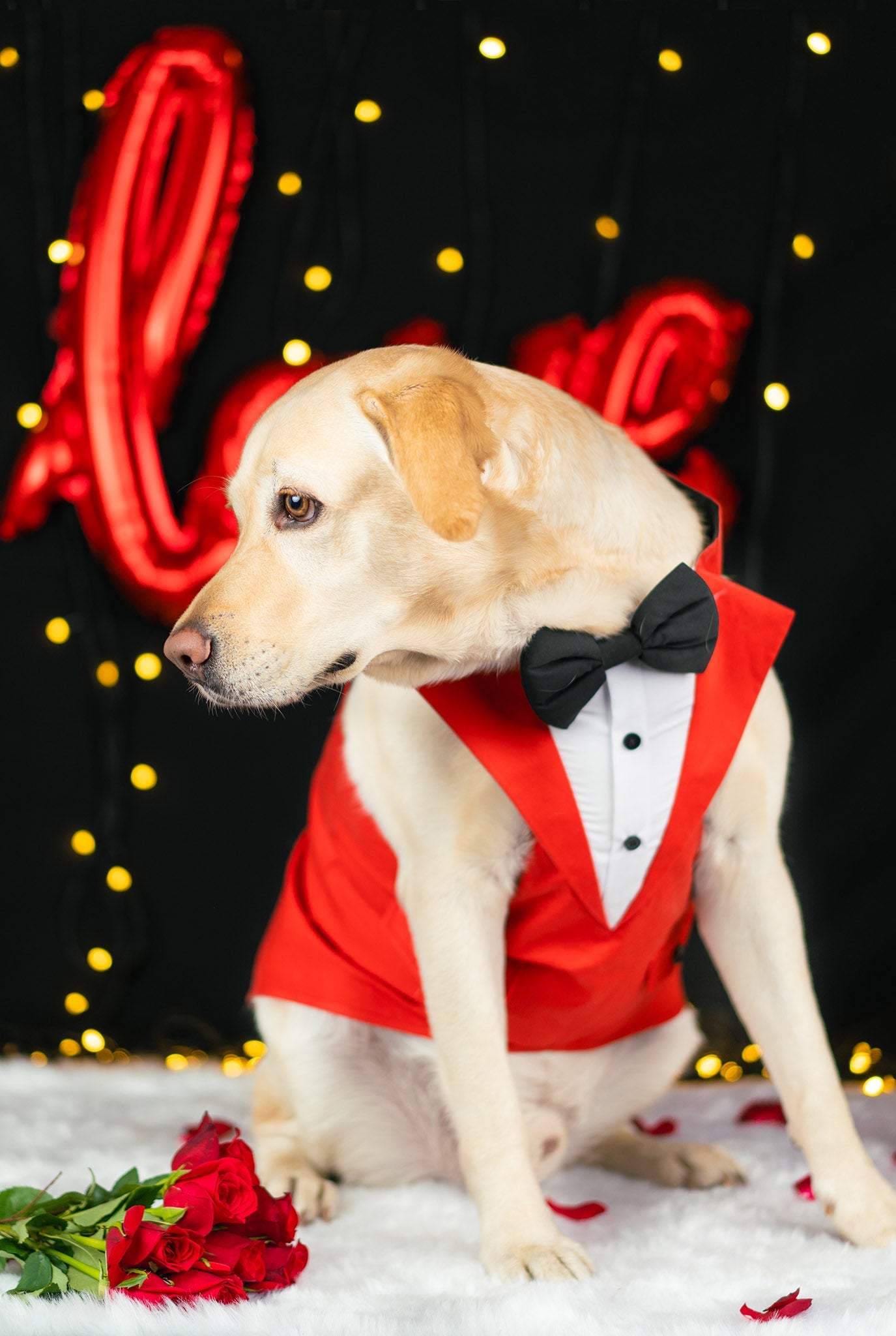 Red Tuxedo