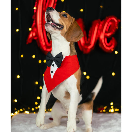 Red Tuxedo Bandanas