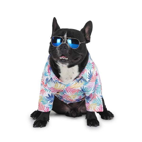 stylish dog wearing colourful printed shirt