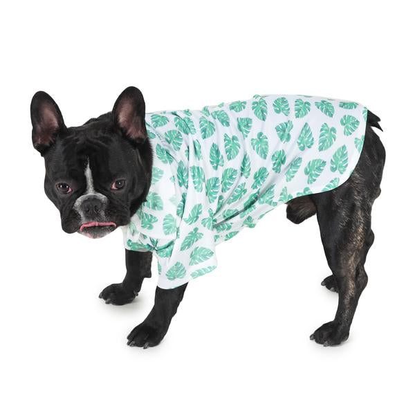 dog wearing green printed shirt