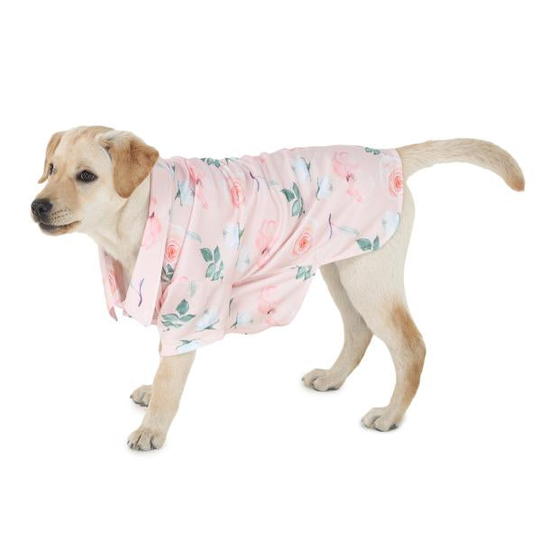 stylish dog wearing pink printed shirt designed by Barks & Wags