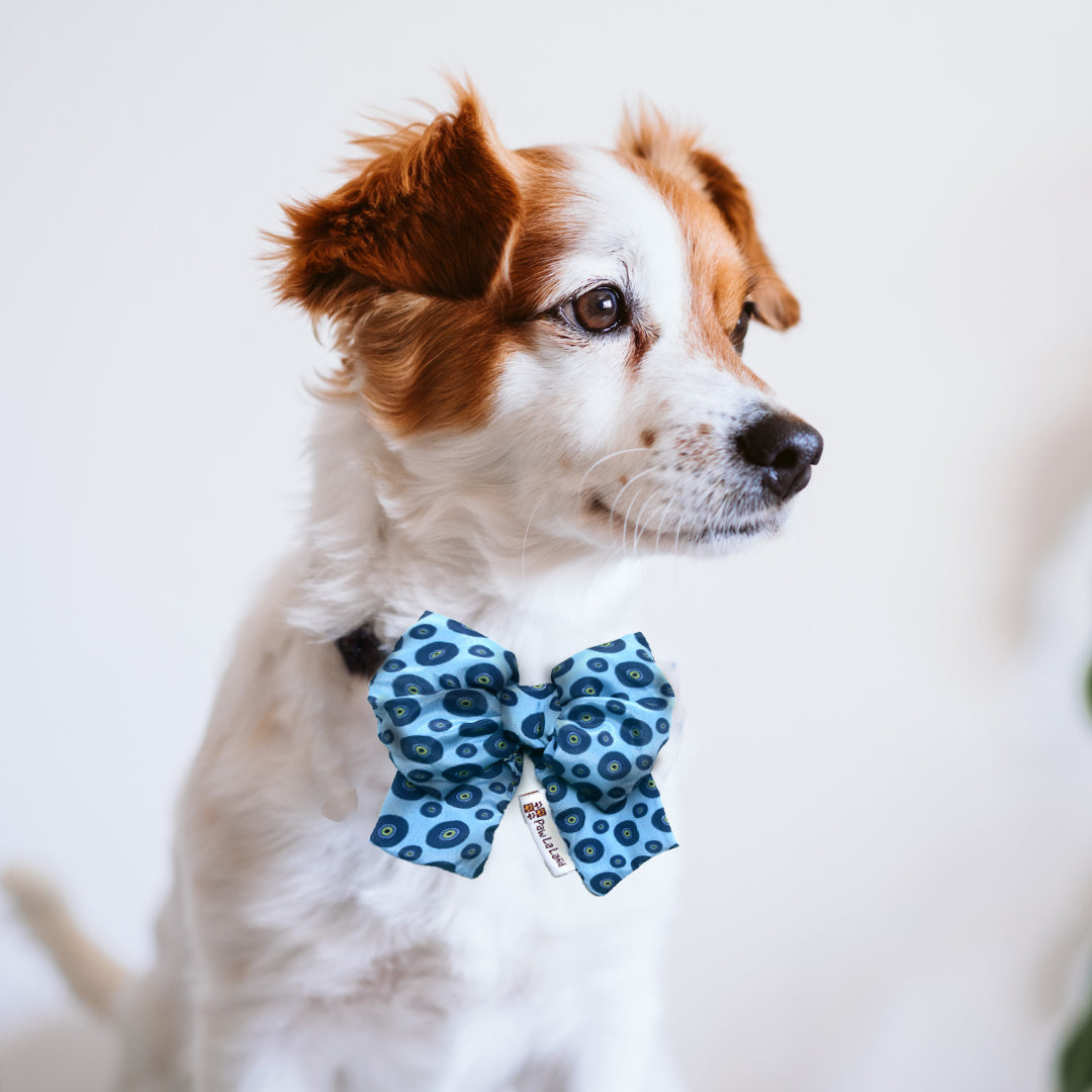 Evil Eye Bow Tie