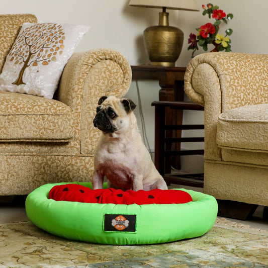 Watermelon Dog Bed