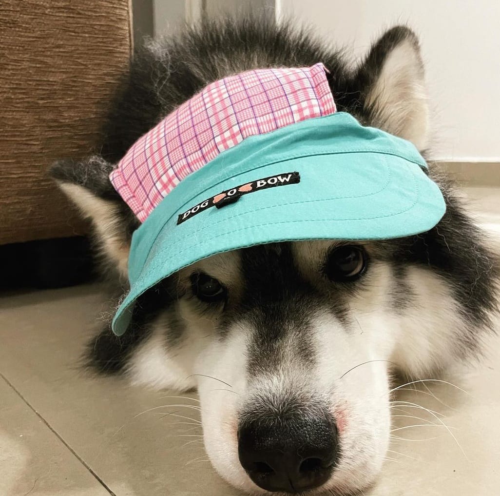 Teal-Pink Check Baseball cap