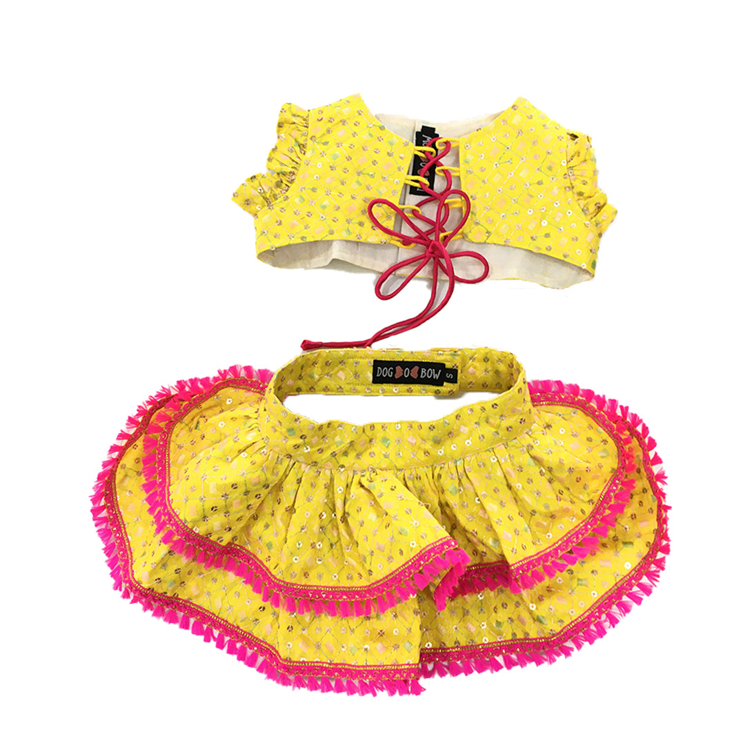 Yellow Embroidered Lehenga Choli