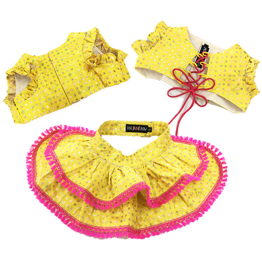 Yellow Embroidered Lehenga Choli