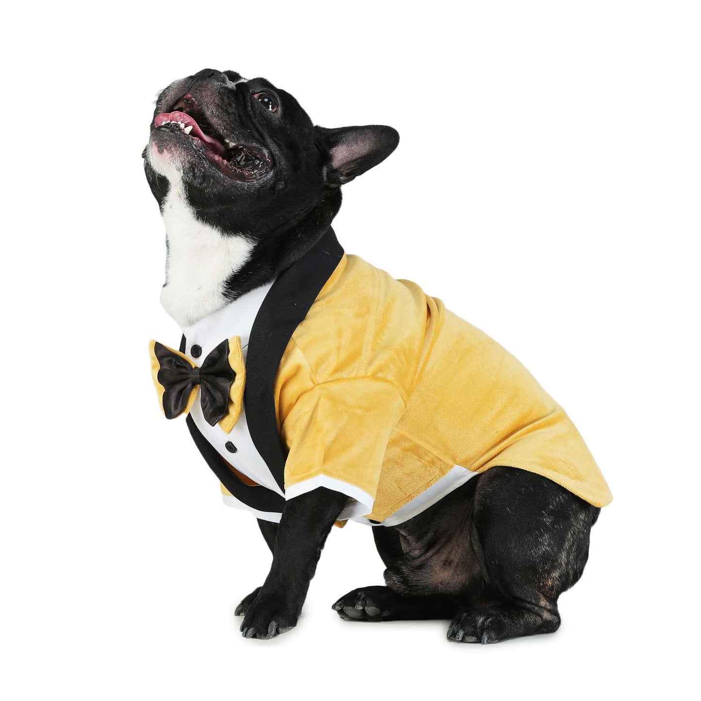 Tuxedos For Dogs - With Black/Yellow Bow Tie