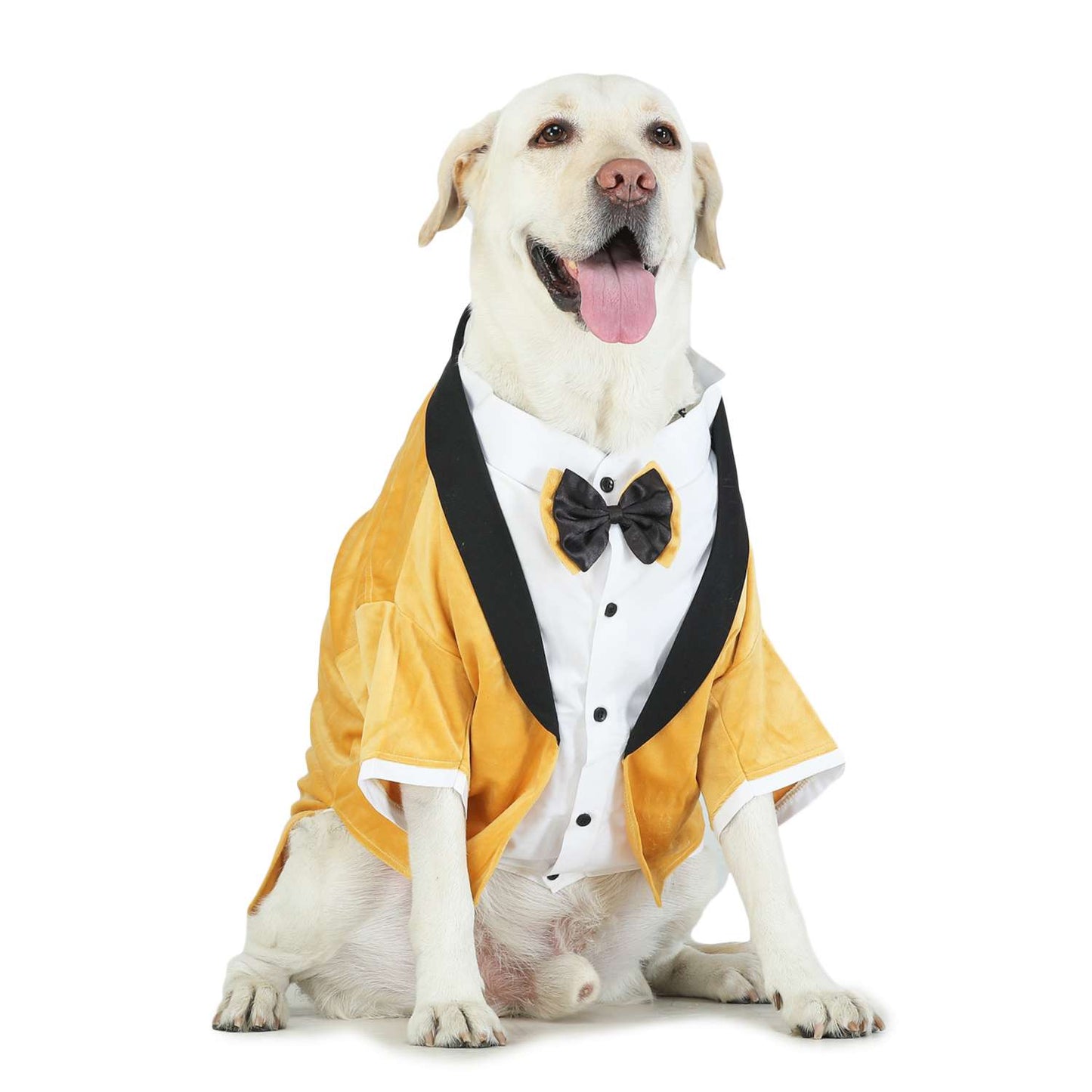 Tuxedos For Dogs - With Black/Yellow Bow Tie