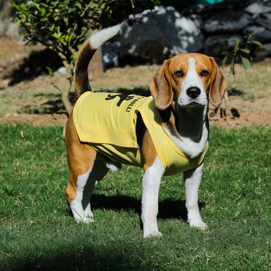 Dog Tshirt (That's How I Roll)