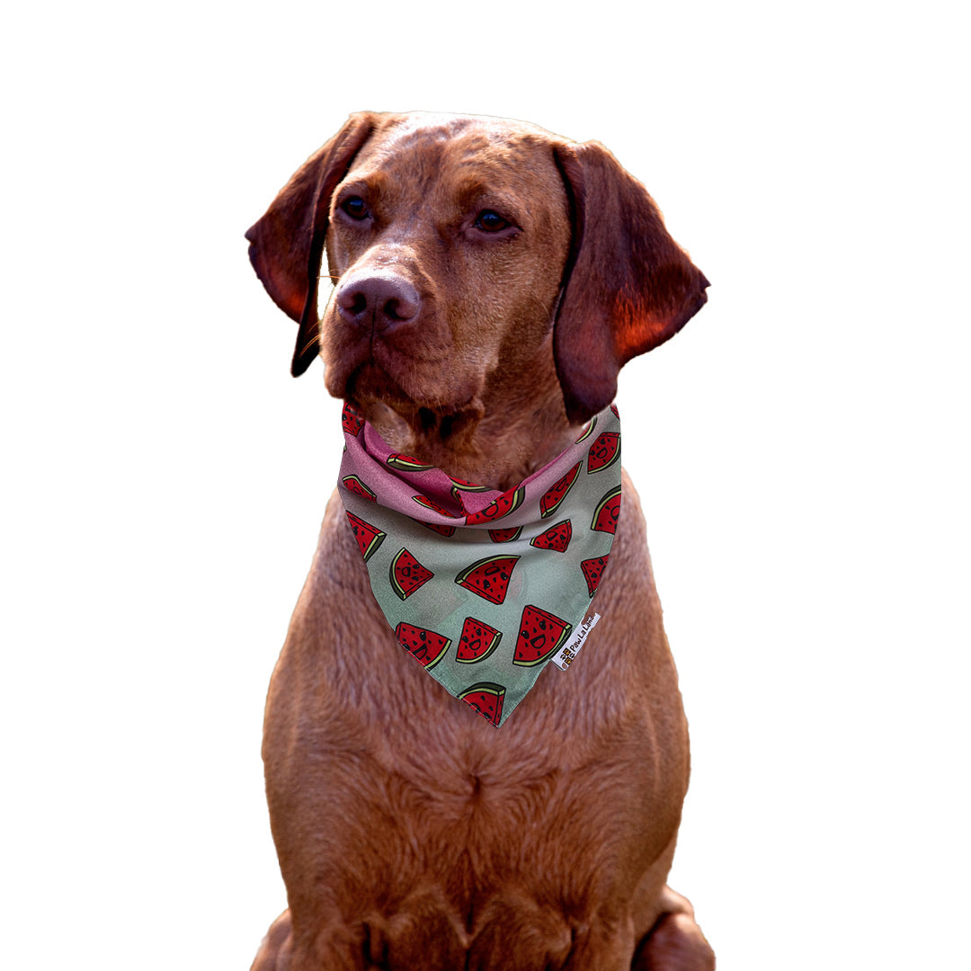 Watermelon Bandana