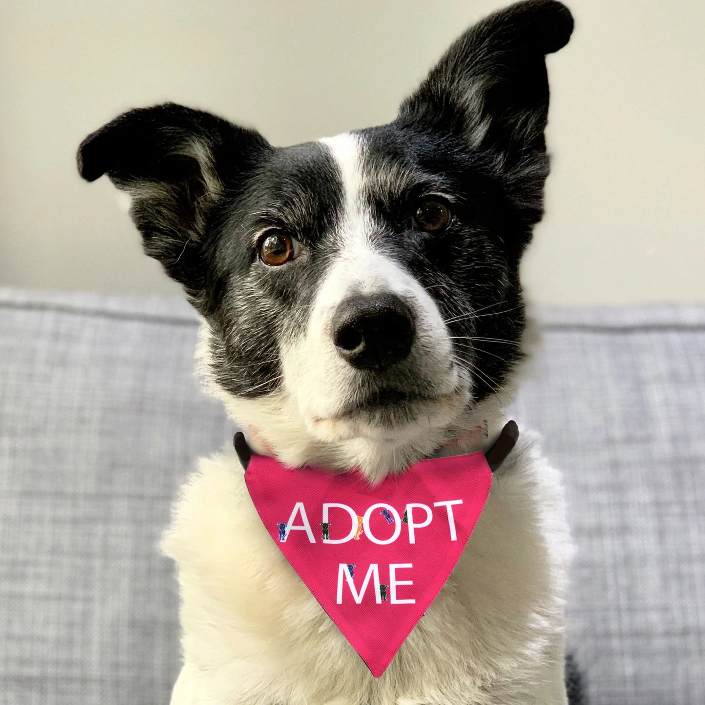 Adopt Me Bandana