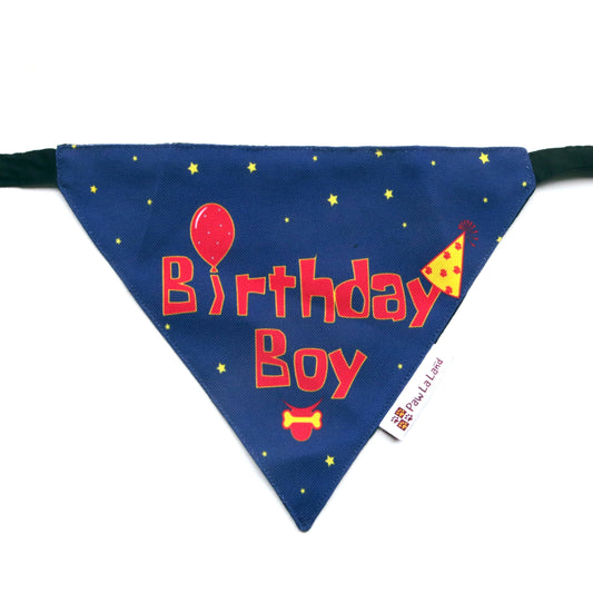 Birthday Boy Bandana