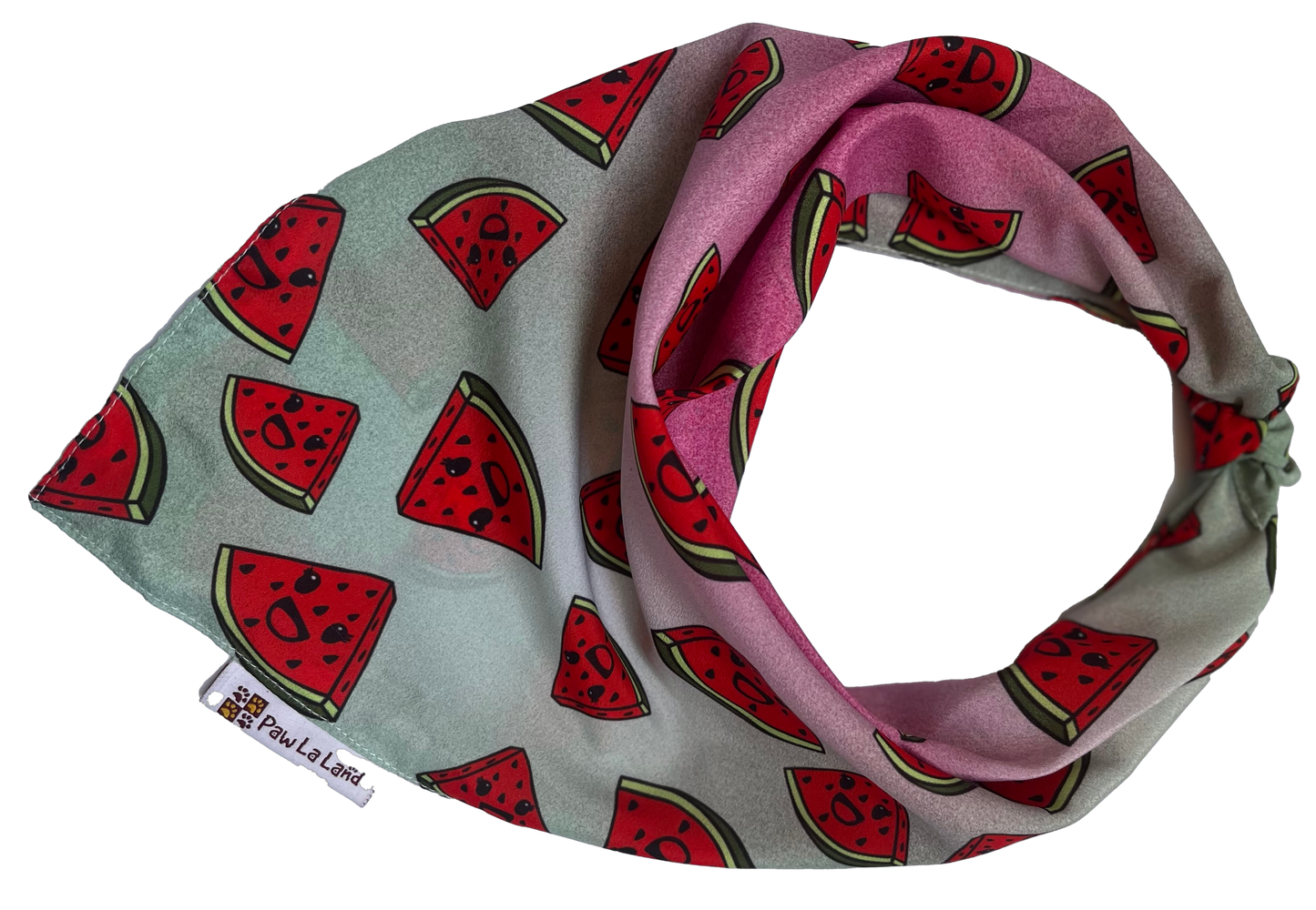 Watermelon Bandana