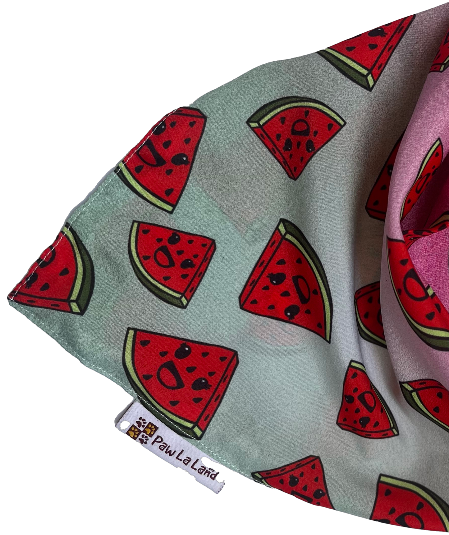 Watermelon Bandana