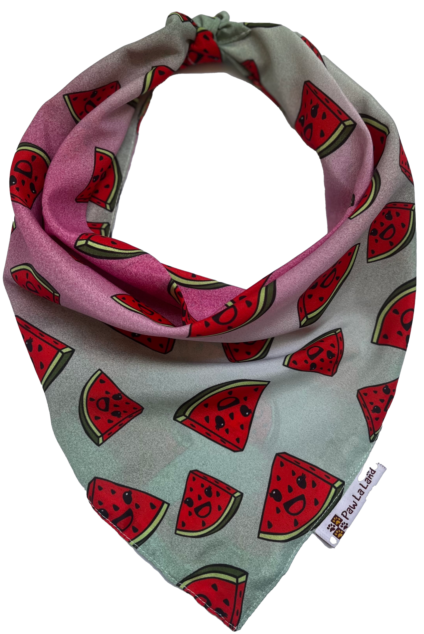 Watermelon Bandana