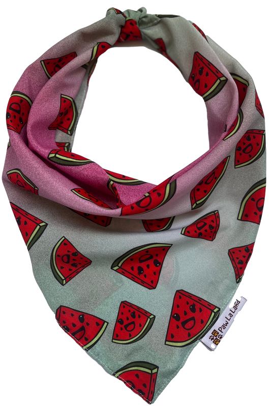 Watermelon Bandana