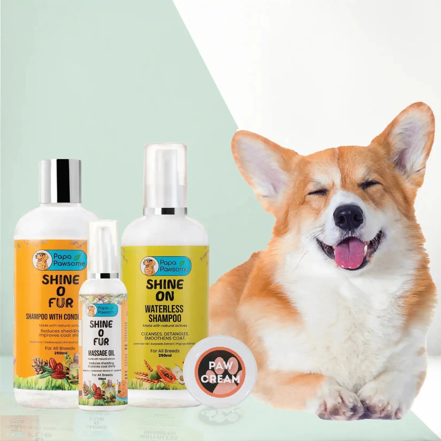 Corgi Complete Grooming kit - Papa Pawsome