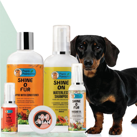 Dachshund Complete Grooming kit - Papa Pawsome