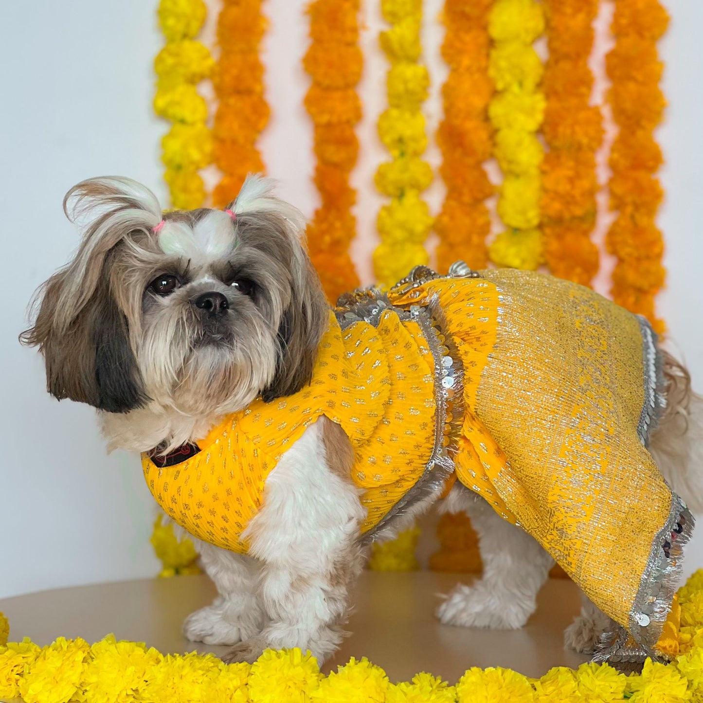 Pleaty Yellow Lehenga