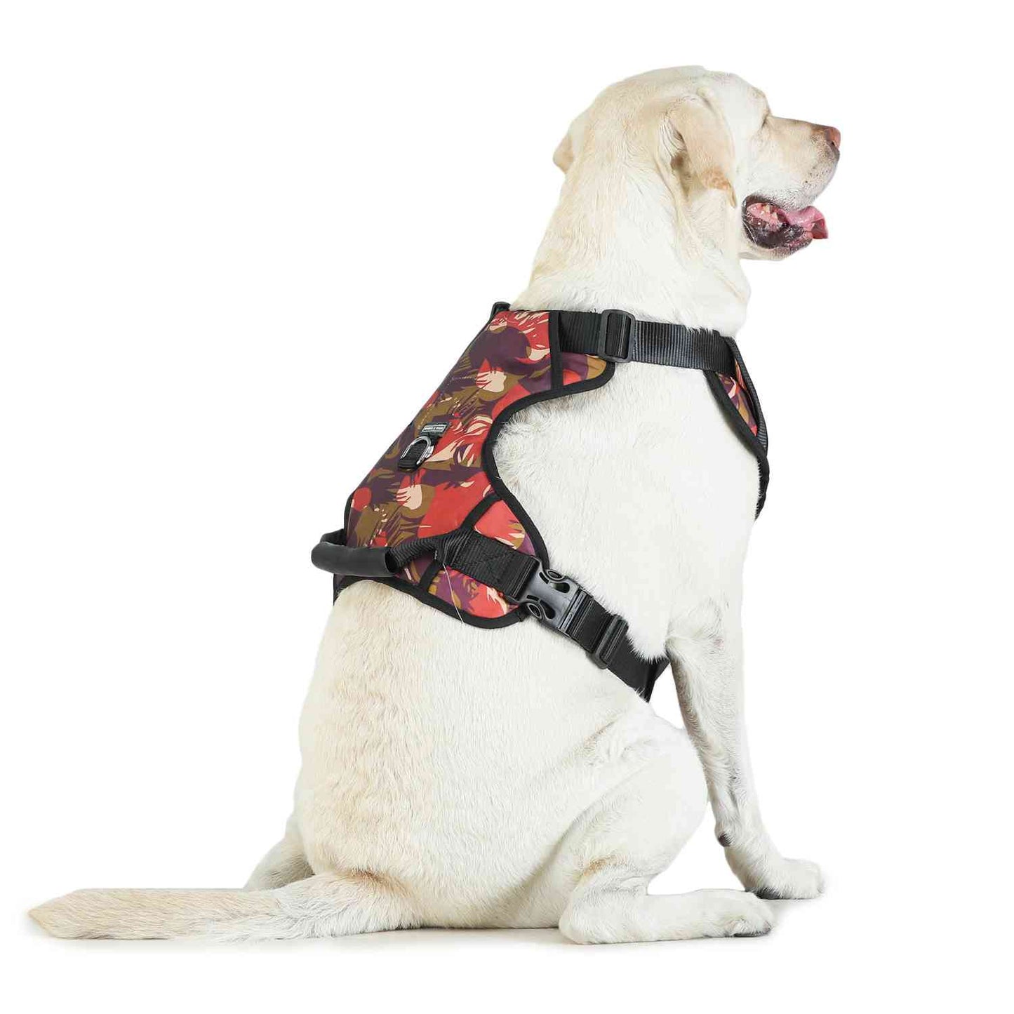 Harness For Dogs