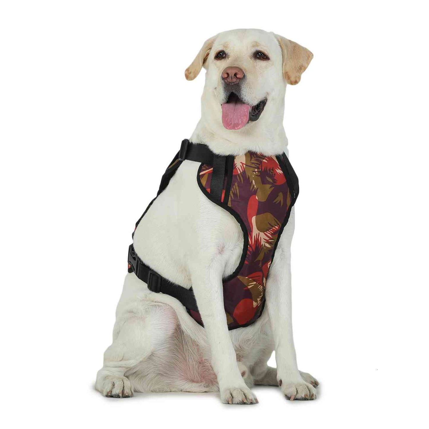 Harness For Dogs