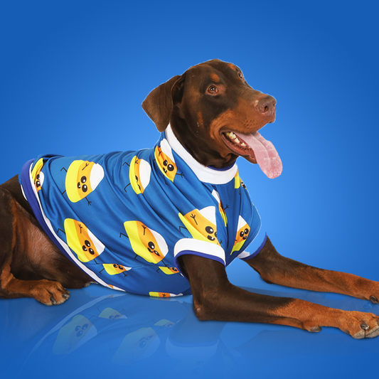 Candyman Dog Tee - blue