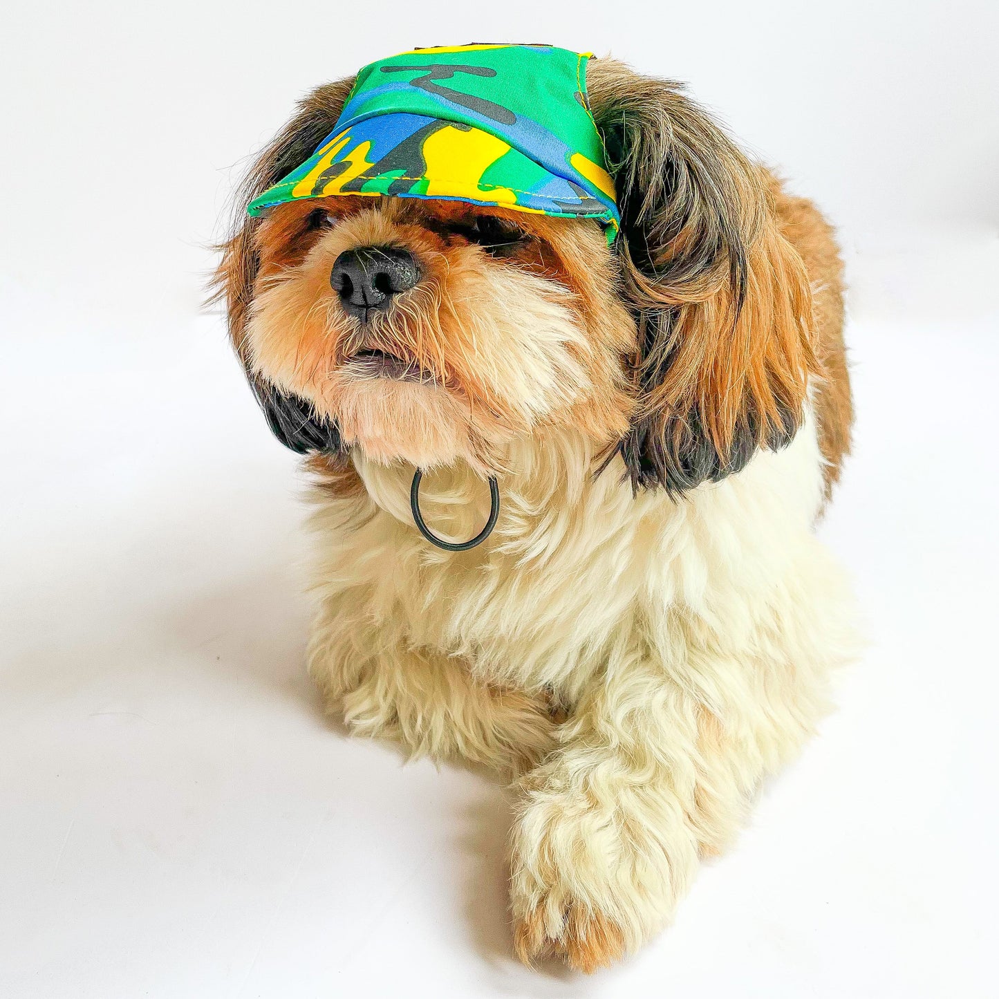 Dog Cap: Multi