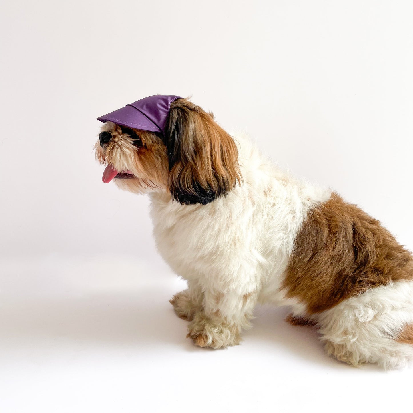 Waterproof Dog Cap: Purple