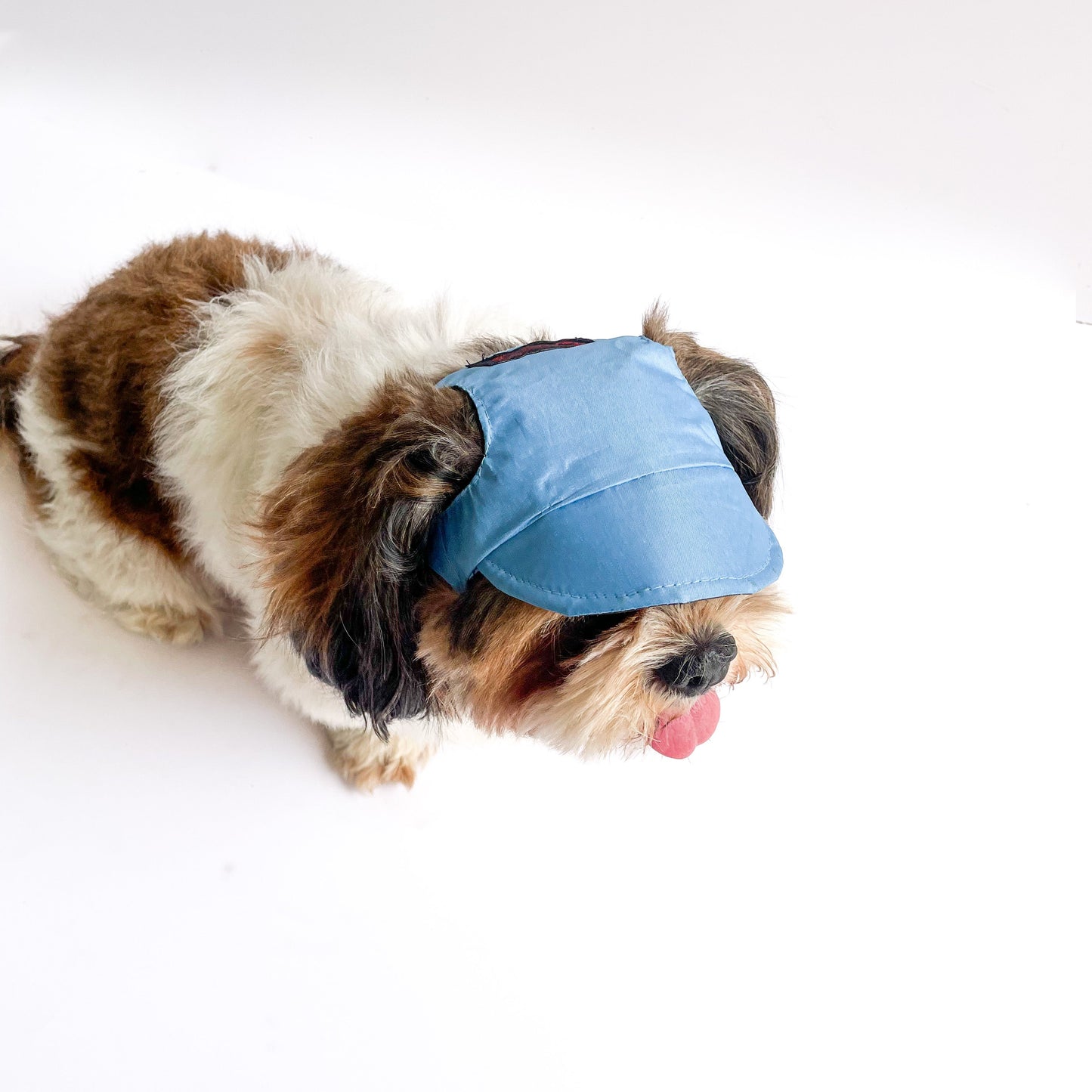 Waterproof Dog Cap: Blue