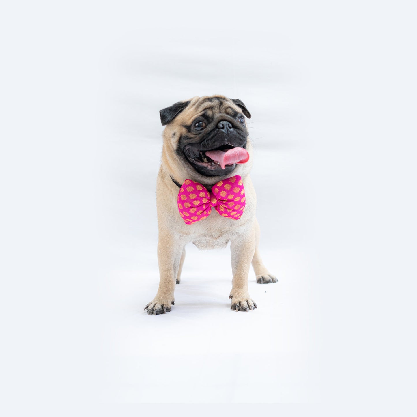 Occasion wear Bowtie: Pink