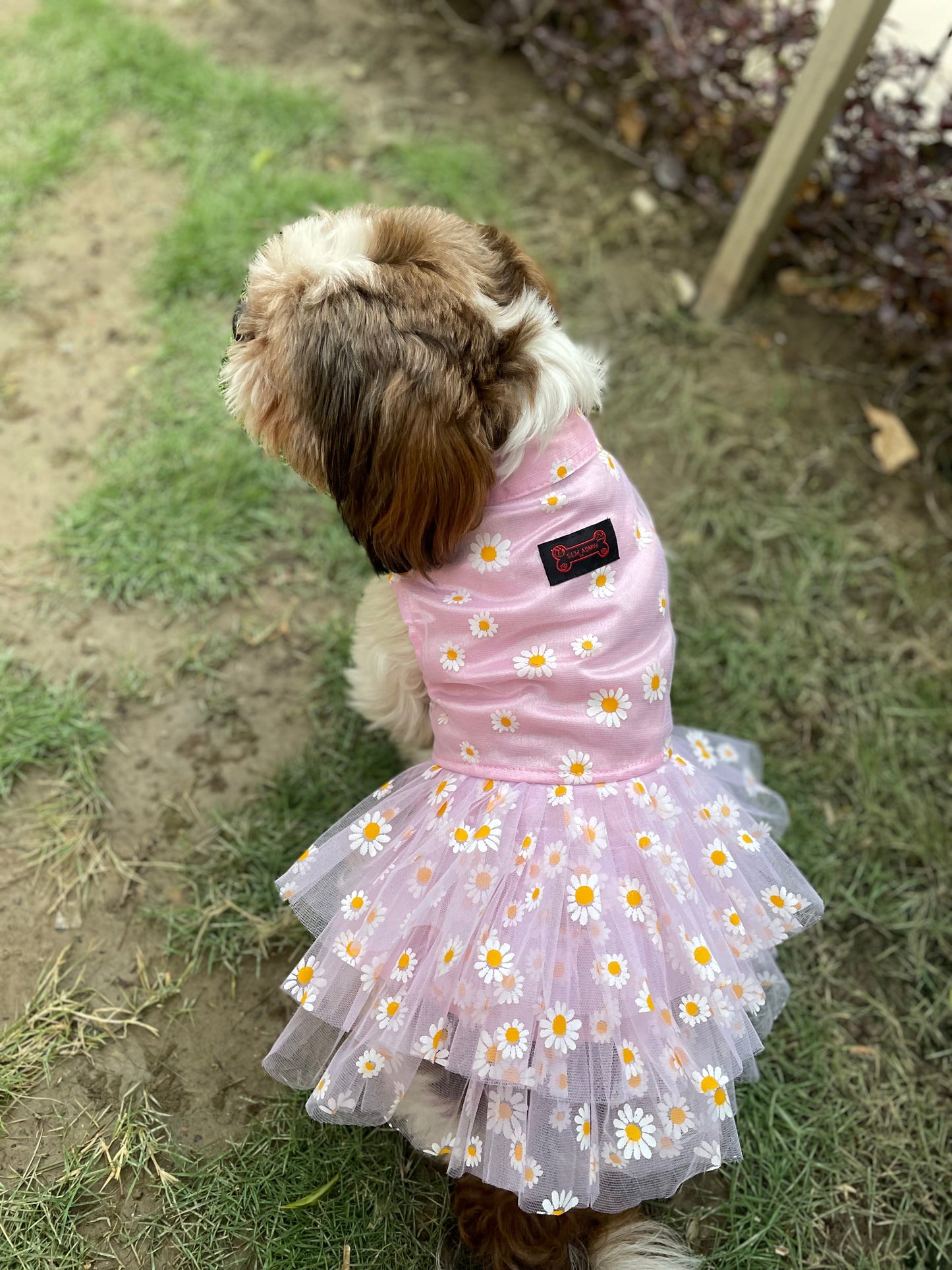 Frilly Dress Lilac