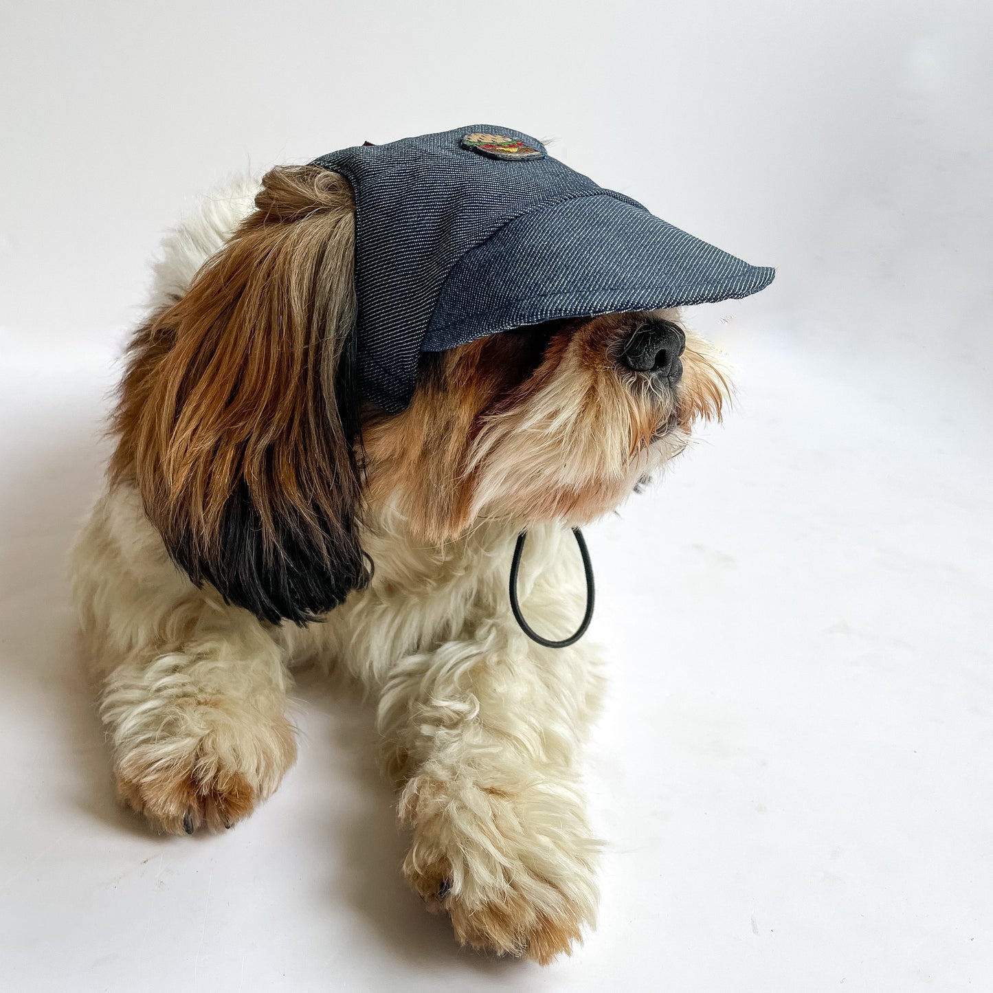 Dog Cap: Denim